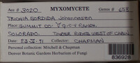 Image Associated With the Occurence